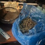 У Дніпрі в двох братів вилучили майже кілограм канабісу