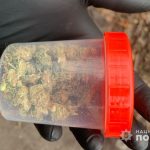 У Кривому Розі затримали збувача канабісу