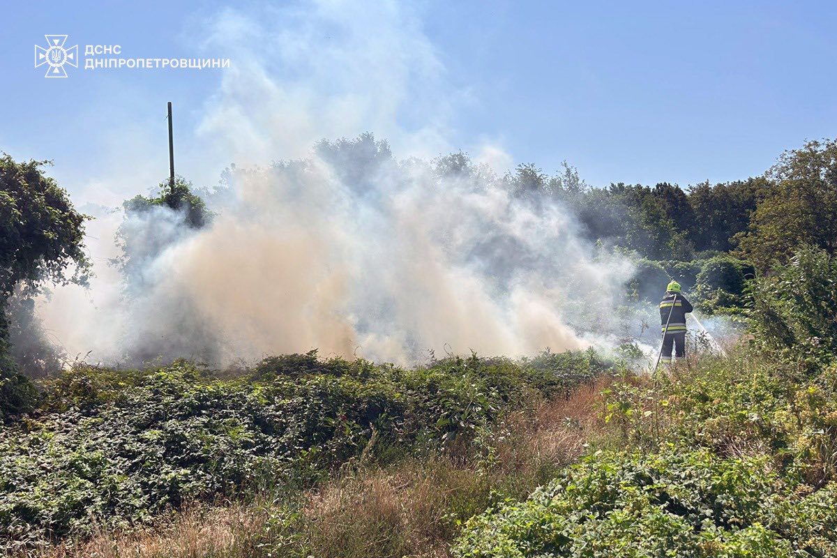 За добу на Дніпропетровщині вогонь знищив понад 32 га екосистем