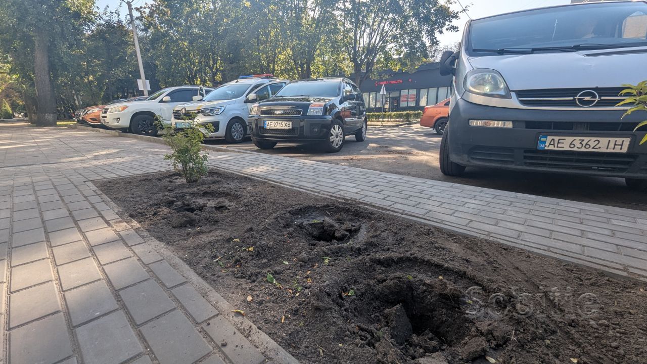 З оновленого скверу на вулиці Медичній в Кам’янському вночі вкрали рослини