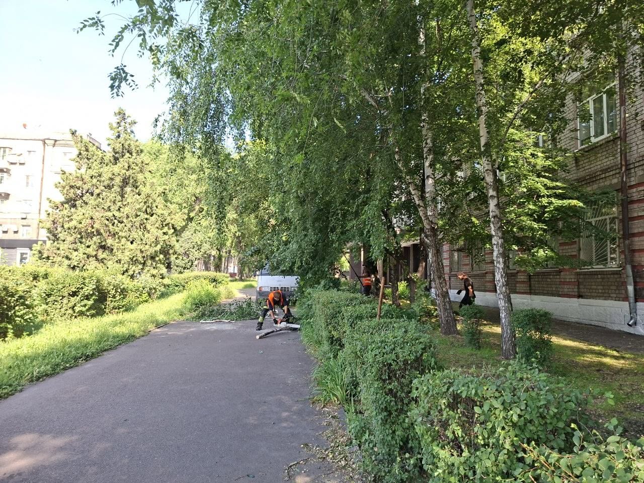 На вулицях та у скверах Кам’янського комунальники провели обрізку дерев