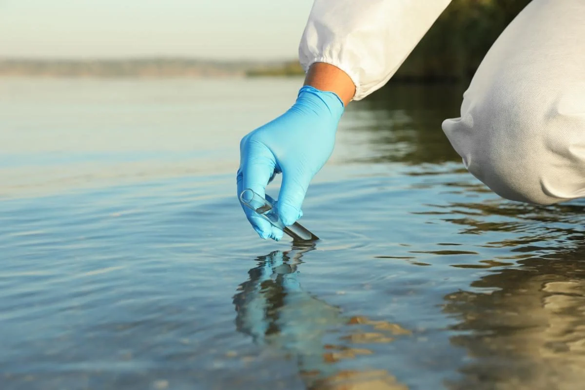 У Кам’янському у водоймі виявили холероподібний вібріон