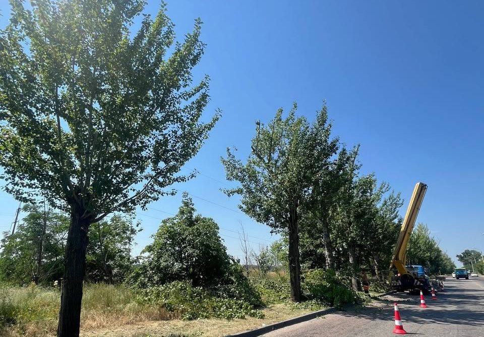 Задля безпеки пішоходів та транспорту: у Кам’янському комунальники приводять до ладу зелені насадження