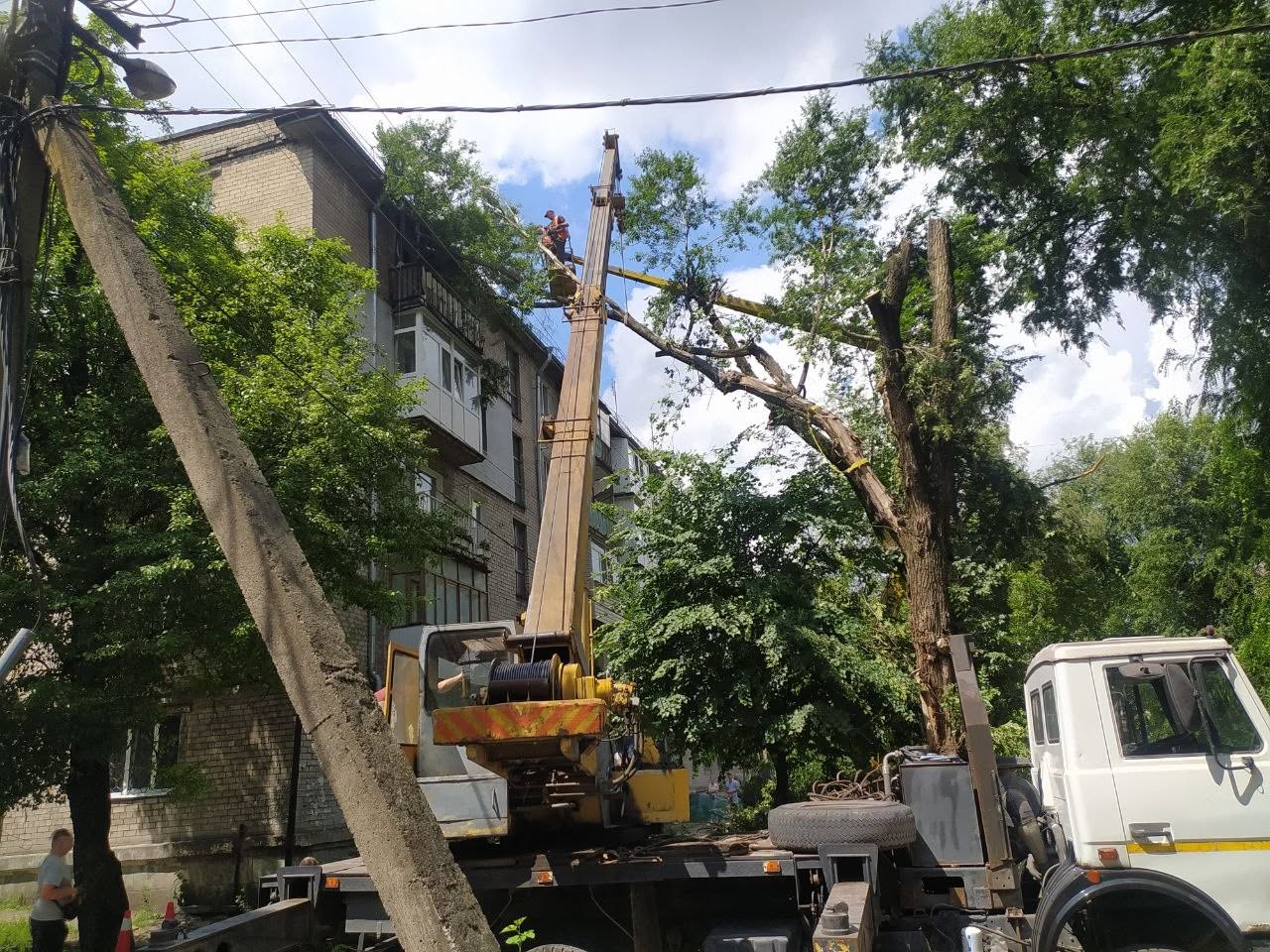 Для безпеки містян: у Кам’янському проводять планову обрізку аварійних дерев