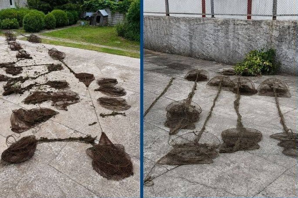 У Кам’янському районі на водосховищі з пасток визволили сома та майже два десятки раків